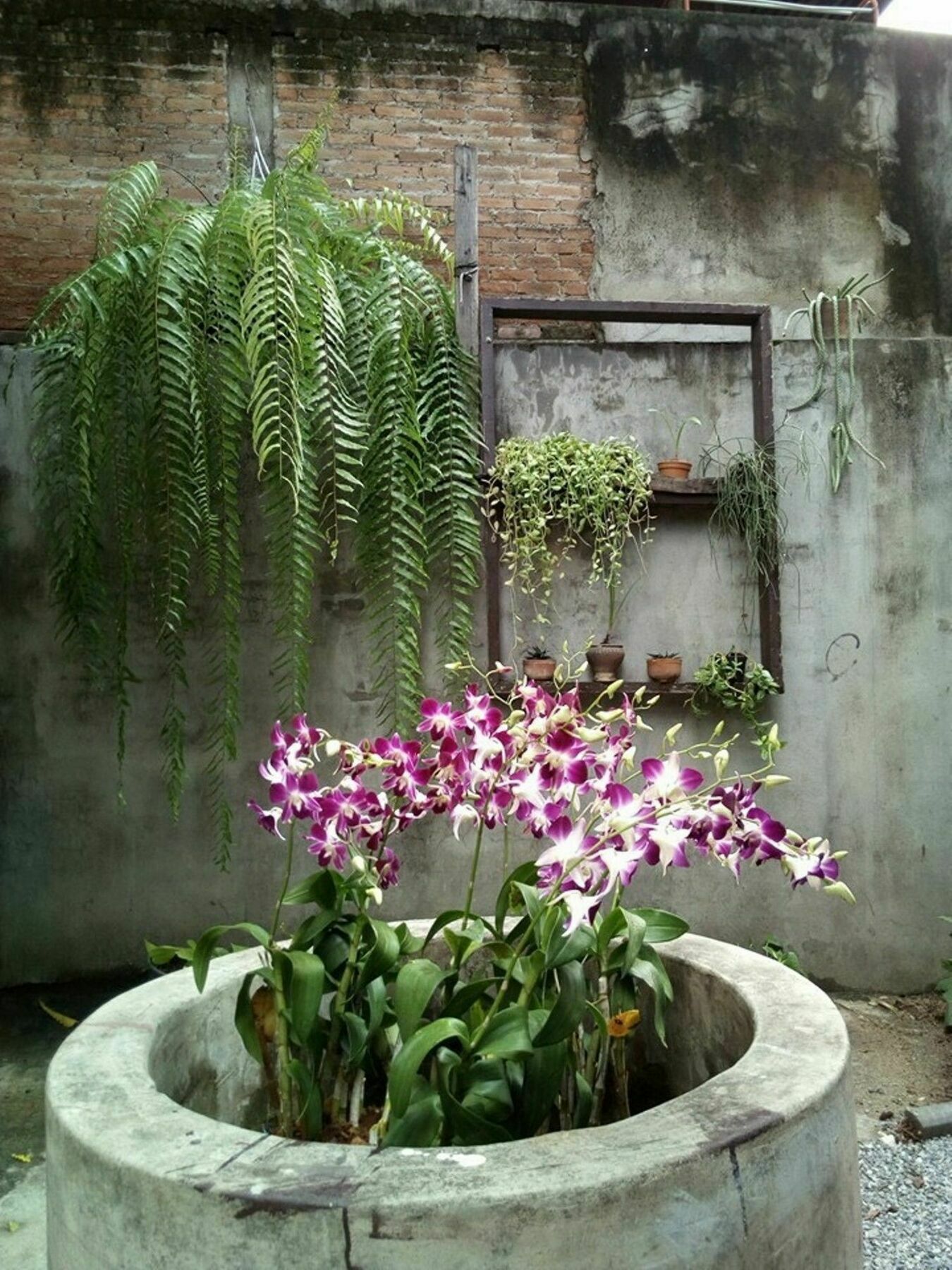 Twin House @ Tapae Hostel Chiang Mai Exterior photo
